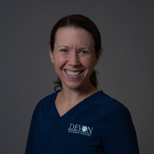 Christine Sandvik