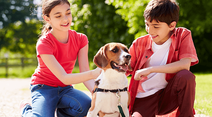 two kids petting a dog outside