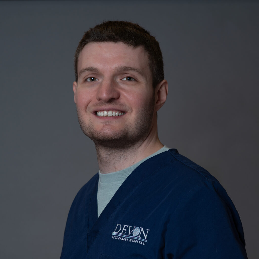 Aleksey Koltsov veterinary technician