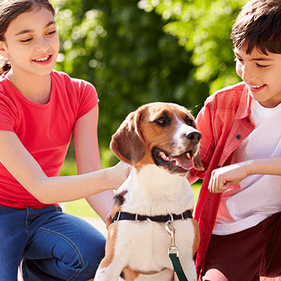 two kids petting a dog outside